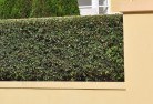 Allenviewhard-landscaping-surfaces-8.jpg; ?>